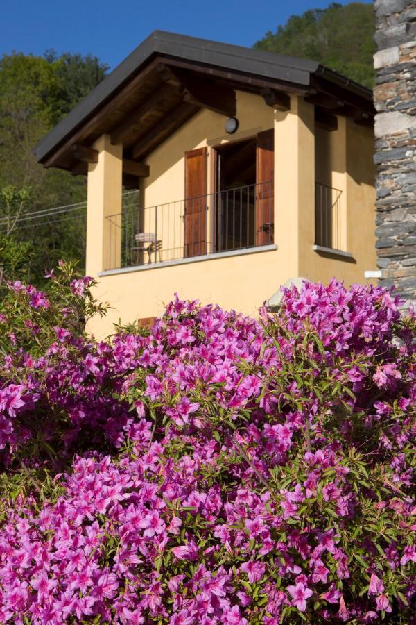 Violina Casa Vacanze Петтенаско Экстерьер фото